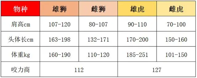 雄狮球队阵容变动为主题讨论的简单介绍